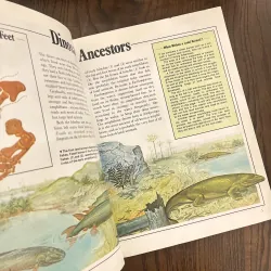 ✨𝑻𝒉𝒆 𝑺𝒖𝒑𝒆𝒓𝒃𝒐𝒐𝒌 𝒐𝒇 𝑫𝒊𝒏𝒐𝒔𝒂𝒖𝒓𝒔✨ 715100