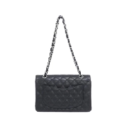Túi xách vai Chanel 1113 - Hàng hiệu Authentic 768428