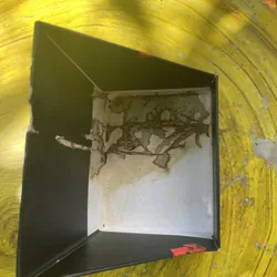 BOXSET CHẠNG VẠNG FULL 5 CUỐN 597227