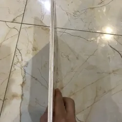 Từ điển động vật bằng hình  748516