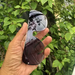 Mắt kính thời trang Sean John 653868