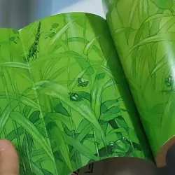 Dế Mèn phiêu lưu ký 698592