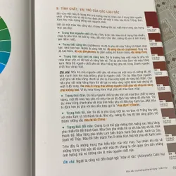 Sách mỹ thuật 730418