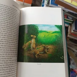 Đồi Thỏ - Richard Adams 1003101