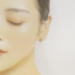 Khuyên tai Hermès Flandore 666171