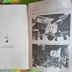 Totto-chan: Cô bé bên cửa sổ 1042049
