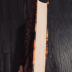 Rừng xanh lá đỏ 531085