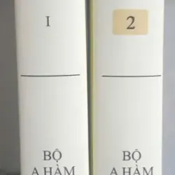 Đại Tạng Kinh Việt Nam - Trường A Hàm 712117