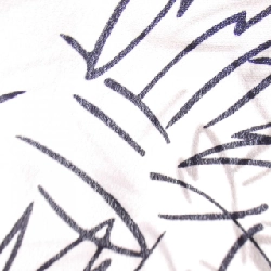 【Mã giảm giá】Plan C TOP 641964