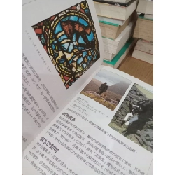 Sách tiếng Trung 19 730802