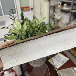 TIẾNG VIỆT TRONG THƯ TỊCH CỔ VIỆT NAM - THẠCH GIANG 934496