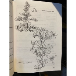 Vietnamese traditional medicine 453094