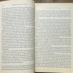 Stones from the River - Ursula Hegi 728986