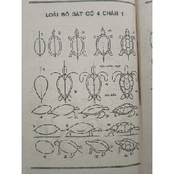 Tự học vẽ: Cách vẽ động vật - Trần Thế Trọng 784467