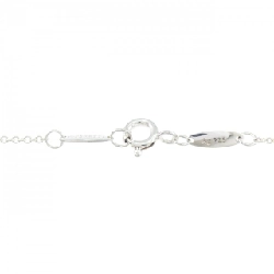 Dây chuyền Tiffany By The Yard - Hàng hiệu Authentic 839563