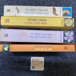 Combo 4c từ điển tranh 