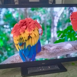 Tivi TCL 28" Xem Camera + Show nhạc -Full phụ kiện 70223