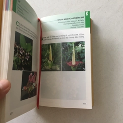 Từ Điển Tranh Về Các Loài Hoa - Lê Quang Long chủ biên 545524