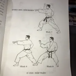 Karate-ka thượng đẳng - Hồ Hoàng Khánh 977073