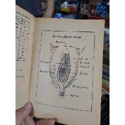 Sự điều hoà sinh sản - Đặng Văn Đang - 1971 mới 80% ố - KHOA HỌC ĐỜI SỐNG - HCM0111 920768
