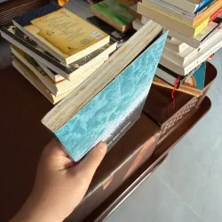 Duyên Nợ Thái Bình Dương – Nguyễn Phương Lan - K2 992835