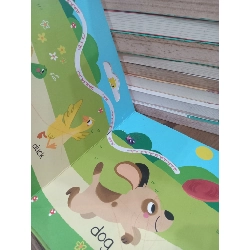 Touch, feel and follow the trails: Animals 800440