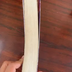 Ánh Sáng Thành Phố (Lôi Mễ) 1055199