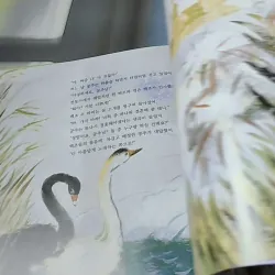 [Tặng nẹp góc] Truyện thiếu nhi Hàn Quốc: Moyamo Anu 48 -  모야모 아누와: 울어요 울어, 공주님 732050