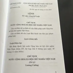 Luật Điện lực 2024 1029277