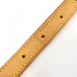 Túi xách vai Louis Vuitton Monogram Salony M42250 612468