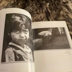 Sắc màu cuộc sống Tran Quan Lai 746035