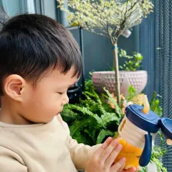 Máy vắt cam điện tự động UNIE UECJ-666R công suất 100W 746855