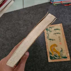 Trần lệ xuân giấc mộng chính trường 746012