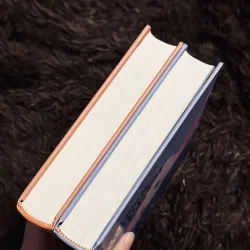 Sơn ca vẫn hót + đường đom đóm bay (bìa cứng)  957711