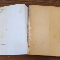 Tiểu thuyết dã sử: NÀNG CHÂU LONG (Như Hiên, 474 trang) 732077