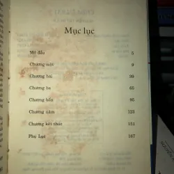 Chim én bay - Nguyễn Trí Huân 1001353