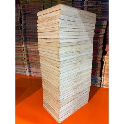 Truyện tranh Ranma 1/2 Takahashi Rumiko 548780