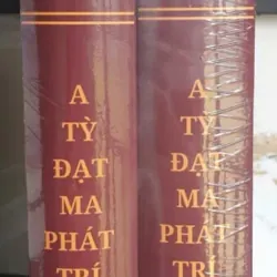 A Tỳ Đạt Ma Phát Trí Luận - Bộ 2 tập Bìa Cứng 991265