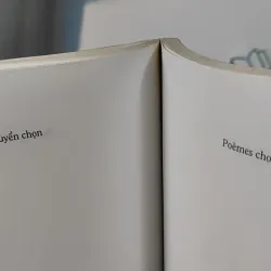 Thơ Nguyễn Bính Tuyển Chọn - Song ngữ Việt Pháp - Hoàng Hữu Đản dịch 798292