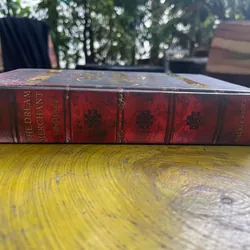 THE DREAM MERCHANT- ISABEL HOVING 557566
