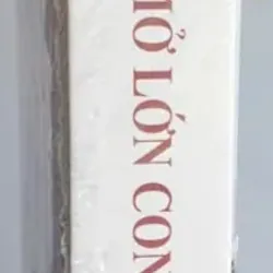 Mở Lớn Con Đường - Thích Thái Hòa 693244