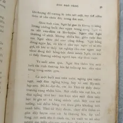 ÁNH ĐẠO VÀNG - VÕ ĐÌNH CƯỜNG 755183