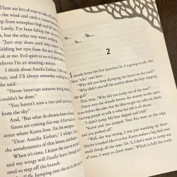 ✨𝑬𝒙𝒕𝒓𝒂𝒐𝒓𝒅𝒊𝒏𝒂𝒓𝒚 𝑩𝒊𝒓𝒅𝒔✨ 711930