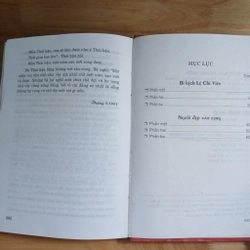 Cuộc Thăng Trầm (Tiểu Thuyết Lịch Sử)
- Minh Giang 196293