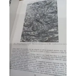 Transactions of the fourth international congress of plastic and reconstructive surgery 556684