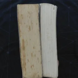 Combo "Mèo hoang" (2 tập) - Đinh Mặc 999792