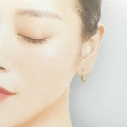 K10YG Bông tai - Hàng hiệu Chính hãng 873119