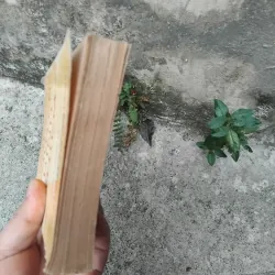 Trạng trình Nguyễn Bỉnh Khiêm  1022826