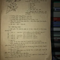 Thực hành hoa trang trí - Triệu Thị Chơi  976375