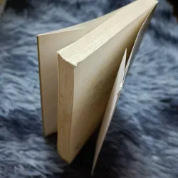 Truyện ngắn Bùi Ngọc Tấn 957588